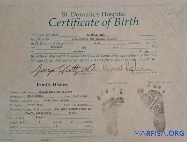 Printable United States St. Dominic's hospital birth certificate sample